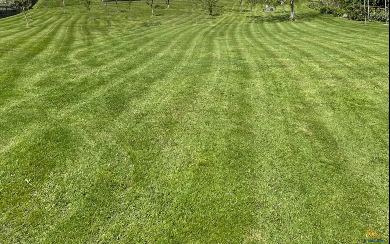 Baugrundstück in Top Ruhelage! #2 - Bild 1