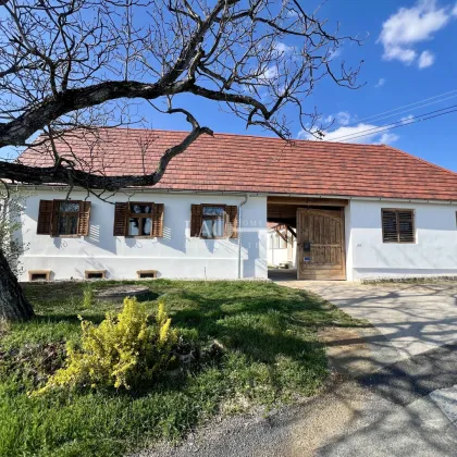 Einzigartiger & Authentischer Vierkanthof mit Arkaden im südlichen Burgenland - Bild 2
