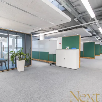 Erstklassige Bürofläche mit ca. 350m² in der Plus City in Pasching zu vermieten! Teilbar! Parkplätze kostenfrei! - Bild 2