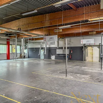 Top Gewerbeliegenschaft mit Lager-/Produktions- und Büroflächen in Thalheim bei Wels zu verkaufen! - Bild 3