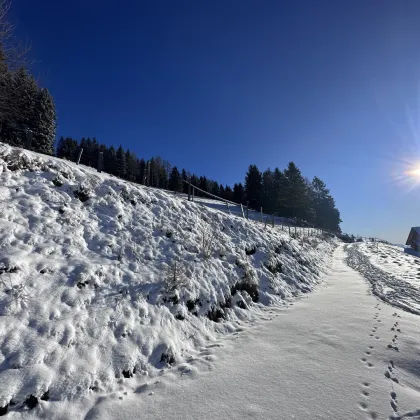 "Sonnenverwöhntes Grundstück in Traumlage und vielseitigem Potenzial! - Bild 2