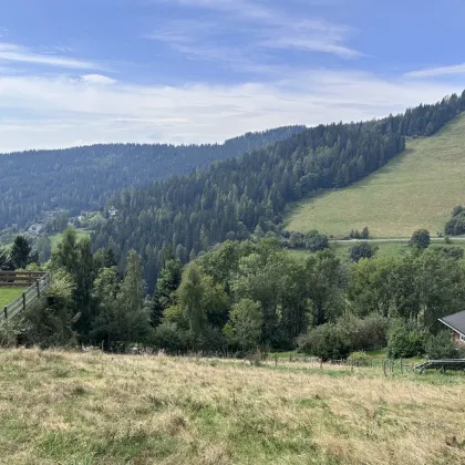 "Sonnenverwöhntes Grundstück in Traumlage und vielseitigem Potenzial! - Bild 3