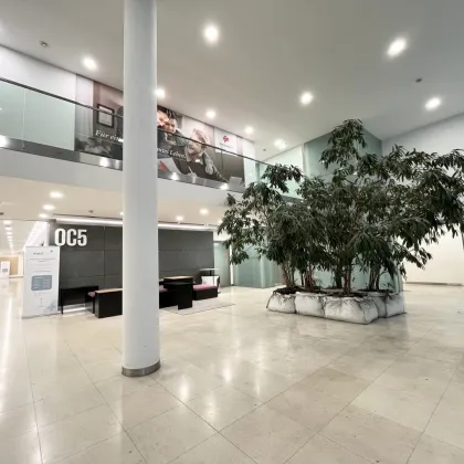 OC5 Moderne Bürofläche (ca. 794 m²) mit hervorragender Verkehrsanbindung – Wiedner Hauptstraße - Bild 3