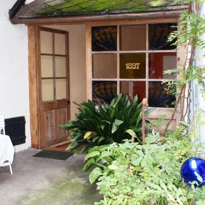 102qm historische Altbauwohnung in Krems/Stein würde sich über einen neuen Mieter sehr freuen! - Bild 2