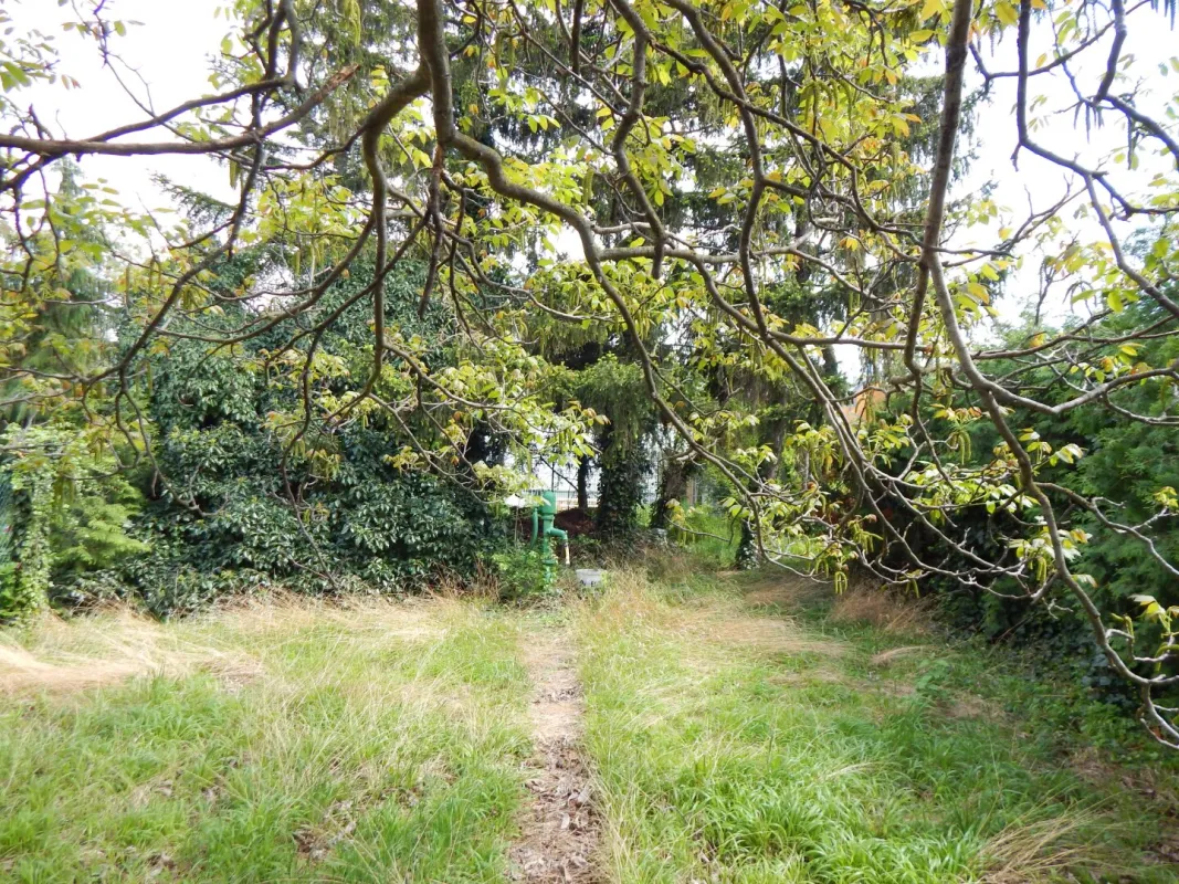 Traumhaftes Baugrundstück für Ihr Eigenheim in Brunn am Gebirge mit Baugenehmigung - Bild 1