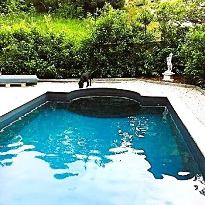 Ruheoase! Eckreihenhaus mit Wellnessbereich und Pool in Hof - Bild 3