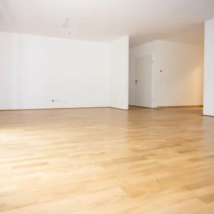 ERSTBEZUG "ein viertel grün" - herrliche 3 Zimmerwohnung mit Balkon und Tiefgaragenstellplatz  in Wr. Neustadt - provisionsfrei - Bild 2
