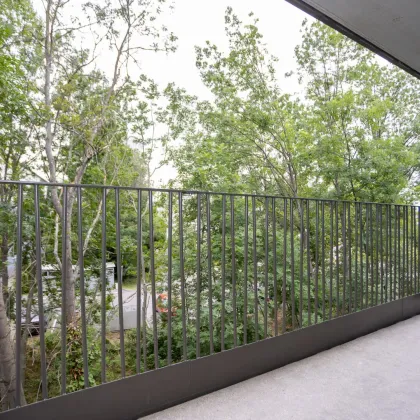 ERSTBEZUG "ein viertel grün" - herrliche 3 Zimmerwohnung mit Balkon und Tiefgaragenstellplatz  in Wr. Neustadt - provisionsfrei - Bild 3