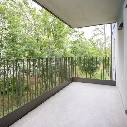 ERSTBEZUG "ein viertel grün" - herrliche 3 Zimmerwohnung mit Balkon und Tiefgaragenstellplatz in Wr. Neustadt - provisionsfrei - Bild 3