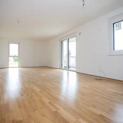 ERSTBEZUG "ein viertel grün" - herrliche 3 Zimmerwohnung mit Balkon in Wr. Neustadt mit Tiefgaragenabstellplatz - provisionsfrei - Bild 2