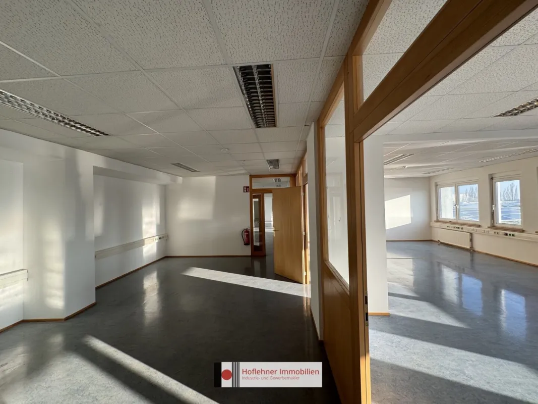 Modernes Büro in Wiener Neudorf - Parkplätze inkludiert! - Nähe A2 - Bild 1