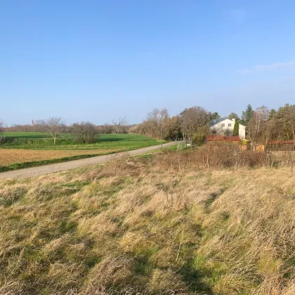 Viel Platz für Ihr Haus und Ihre Familie! - Bild 2