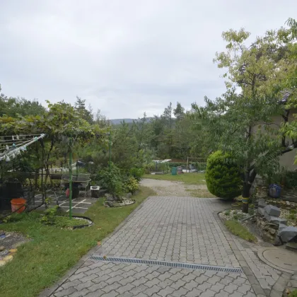 Waldrand-Traumhaftes Haus in idyllischer Hinterbrühl - Jetzt zum Spitzenpreis von 950.000,00 € kaufen! - Bild 2