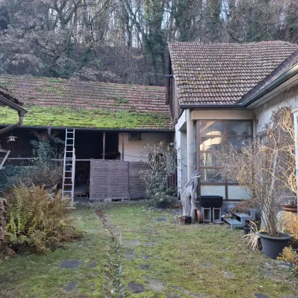 Charmantes Bauernhaus in St. Andrä vor dem Hagenthale: Ihr Traum vom Renovieren mit Garten im Innenhof - Bild 2