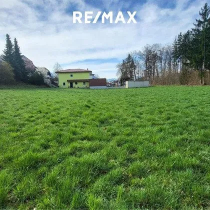 Grundstück in Laakirchen - Reintal zu verkaufen! KEIN BAUZWANG! - Bild 3