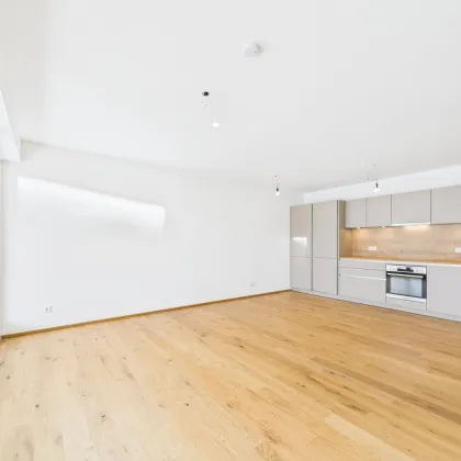NEUBAU - EIGENUTZUNG oder für ANLEGER - Vitis im Waldviertel ca. 90% vermietet - Bild 2