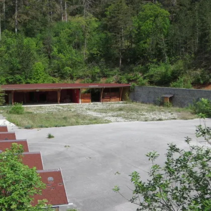 Großes Waldgrundstück mit asphaltierter Freifläche in Willendorf - Bild 2
