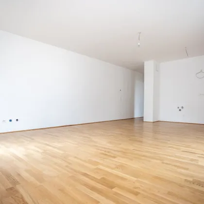 ERSTBEZUG "ein viertel grün" in Wr. Neustadt - moderne 2 Zimmerwohnung mit Balkon und Tiefgaragenstellplatz - provisionsfrei - Bild 3