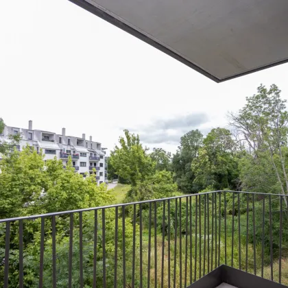 ERSTBEZUG "ein viertel grün" - traumhafte 2 Zimmerwohnung mit Balkon und Tiefgaragenstellplatz in Wr. Neustadt - provisionsfrei - Bild 2