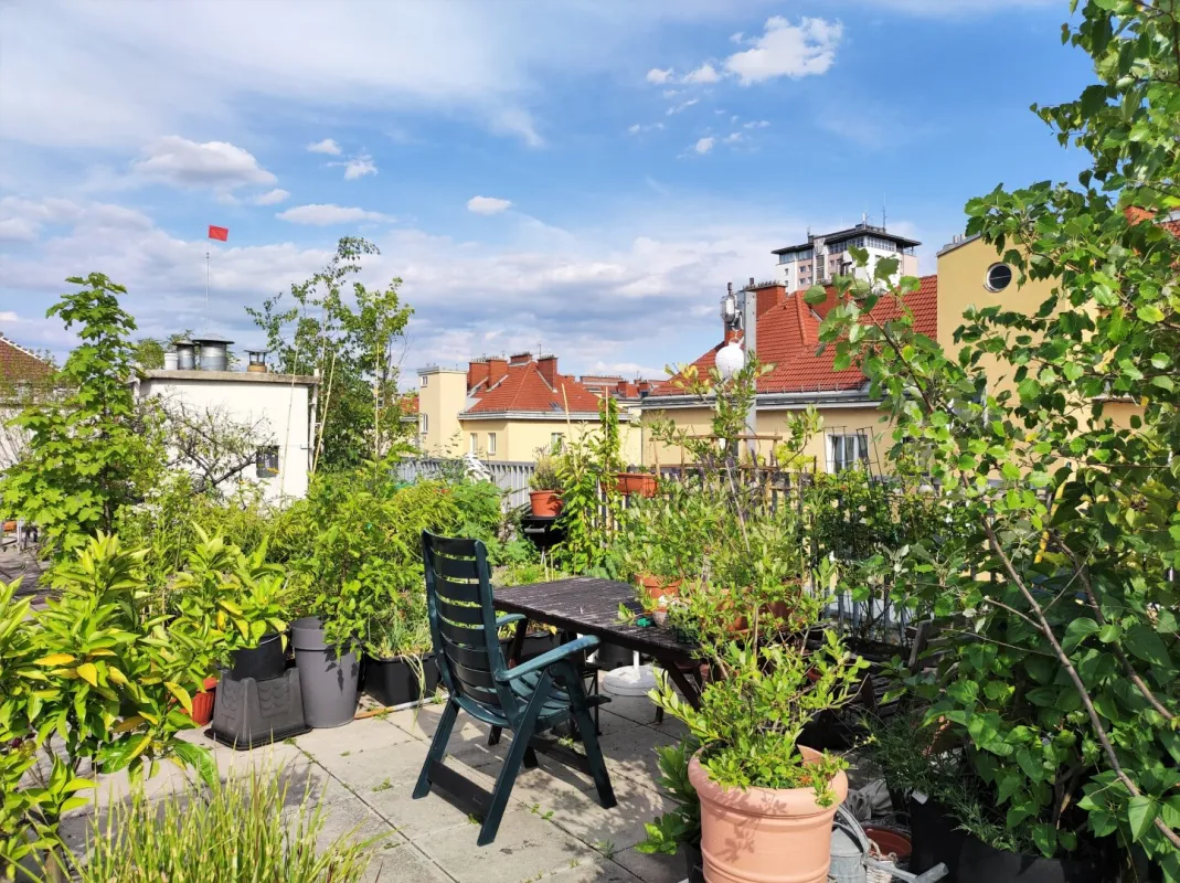 GEMEINSCHAFTSDACHTERRASSE: Garconniere in Hofruhelage - Bild 1