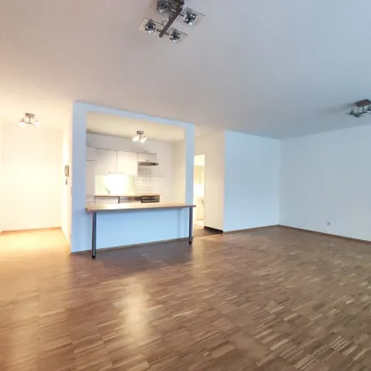 GEMEINSCHAFTSDACHTERRASSE: Garconniere in Hofruhelage - Bild 3