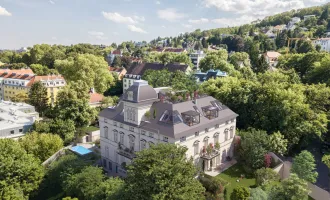Wohnen wie Carl Freiherr Seutter in seiner Sommerresidenz | 4 Zimmern & 4,40 m Raumhöhe | Balkon geplant + Gartenoption & Parkplatz | sanierungsbedürftig