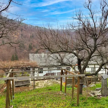 Blick auf die Burgruine Gösting. - Naturnahe Doppelhaus-Hälfte mit großem Garten und Potential. - Bild 3