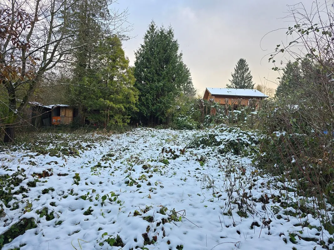 *** TIERHALTUNG *** OBST / GEMÜSE ANBAU *** - Bild 1