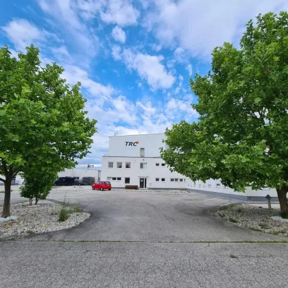 Werkstatt/Büro im Gewerbegebiet, 8 Minuten zum Zentrum von Wiener Neustadt - Bild 2