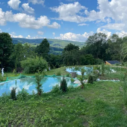 TRAUMHAFTES GRUNDSTÜCKSPAKET AM ÖLBERG MIT DIVERSEN NUTZUNGSMÖGLICHKEITEN - Bild 2