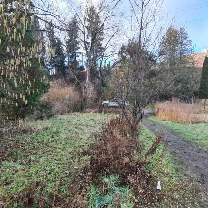 Neubauprojekt – Geplantes 5-geschossiges Wohnprojekt mit 19 Wohneinheiten und 12 KFZ-Tiefgaragen-Abstellplätze in Grünruhelage in Gösting - Bild 3