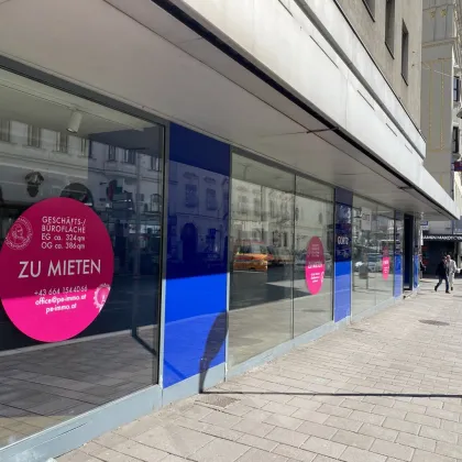 WIEN MITTE: VIELSEITIGE GESCHÄFTS-/BÜROFLÄCHE in TOP-LAGE MIT GROSSEN SCHAUFENSTERN - Bild 3