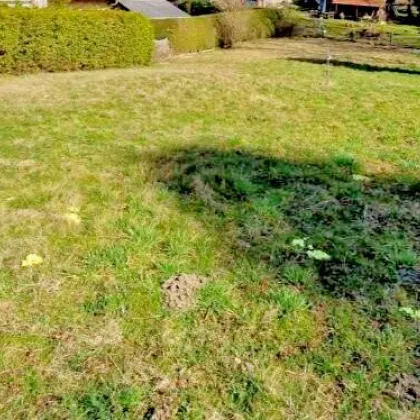 SEHR RUHIGE LAGE - großes Grundstück in leichter Hanglage am Fuße des Rosenbergs! - Bild 3