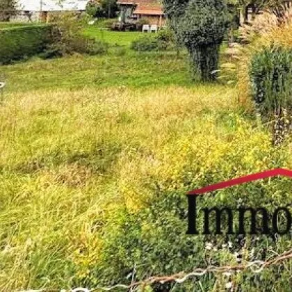 SEHR RUHIGE LAGE - großes Grundstück in leichter Hanglage am Fuße des Rosenbergs! - Bild 2