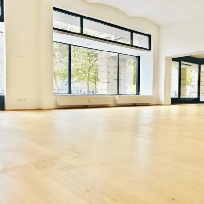 Ein Juwel mitten in der Fußgängerzone freut sich auf eine(n) attraktive(n) Mieter(in)! - Bild 3