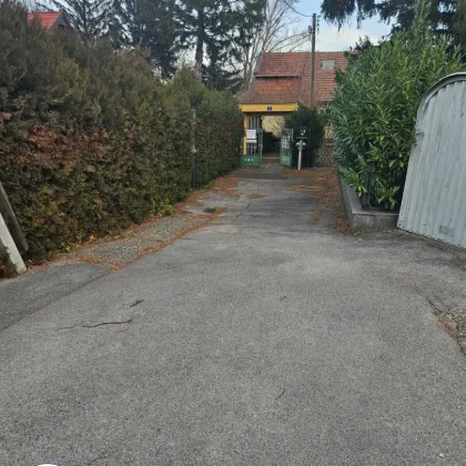 Neuer Preis! | Pacht | Marchfeldkanal | Baugrund mit Altbestand in Ruhelage! Ideal für ein Doppelhaus - Bild 3