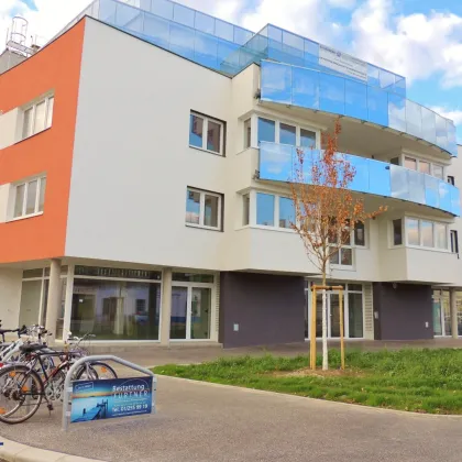 NEUBAU!!  BÜRO oder Kanzlei !!  GENOSSENSCHAFTSBAU in 1210 Wien! - Bild 2
