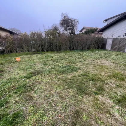 Schönes Einfamilienhaus mit Vollkeller in Eggendorf ! - Bild 2