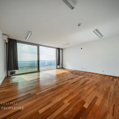 Einzigartiger Blick über Wien! Garconniere mit Terrasse am Kahlenberg - Bild 2