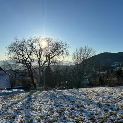 Traumhafter Baugrund in idyllischer Lage - 700m² Baugrund in Gradenegg, Kärnten - Bild 2