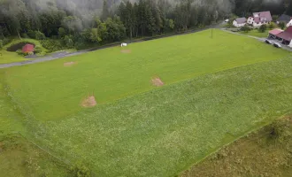 Traumgrundstück für Ihr Eigenheim in malerischer Weststeiermark!