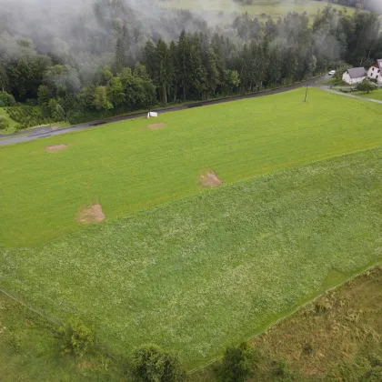 Traumgrundstück für Ihr Eigenheim in malerischer Weststeiermark! - Bild 3