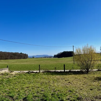 Großes, schönes Baugrundstück in St. Pantaleon (Teilankauf möglich) - Bild 3