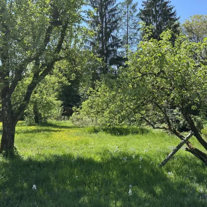 Hochwertiges Baugrundstück mit Altbestand - Salzburg/Parsch - Bild 2