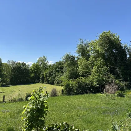 Hochwertiges Baugrundstück mit Altbestand - Salzburg/Parsch - Bild 3