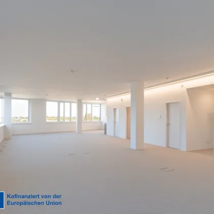 Bürofläche im Technologiezentrum tz3 – neu, energieeffizient & zukunftssicher - Bild 3