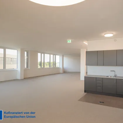 Technologiezentrum 3 - Moderne Büroflächen Top 13 - Bild 2