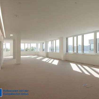 Technologiezentrum 3 - Moderne Büroflächen Top 23 - Bild 2