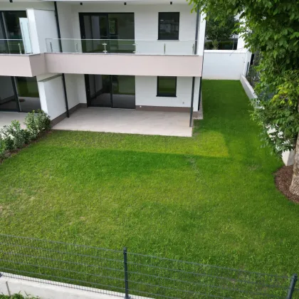 Kronaris - Top 04 - Bild 2
