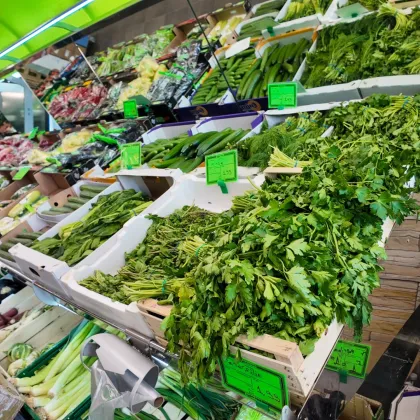 Attraktiver Einzelhandelsladen in Salzburg - 590m², Top-Ausstattung, 8 Parkmöglichkeiten - Bild 2